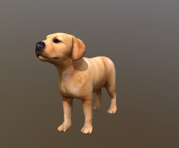 Modern Animal-ID:512590453