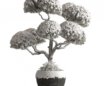 Modern Ground Green Plant Potted Plants-ID:191791065