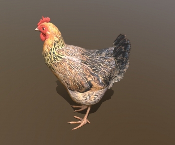 Modern Animal-ID:214479062