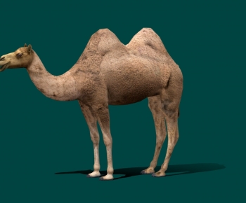 Modern Animal-ID:166390906