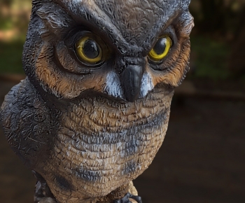 Modern Animal-ID:207526929