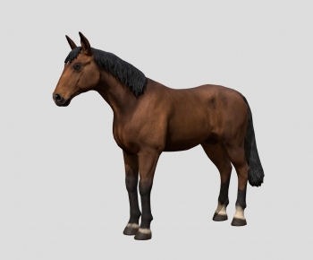 Modern Animal-ID:181585078