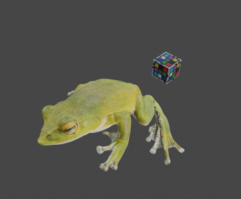 Modern Animal-ID:494271049