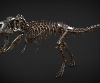 Modern Animal-ID:846050023