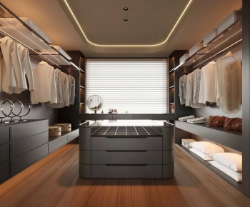 Modern Clothes Storage Area-ID:303885942