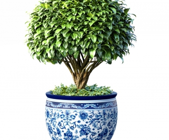Modern Ground Green Plant Potted Plants-ID:945852993