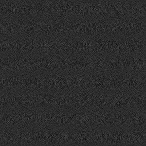 ModernRough Grain Leather