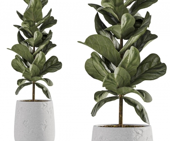 Modern Ground Green Plant Potted Plants-ID:174983986
