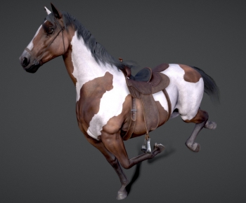 Modern Animal-ID:455595028