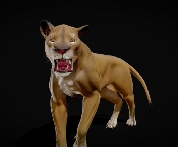 Modern Animal-ID:526429896