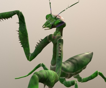 Modern Animal-ID:604415897