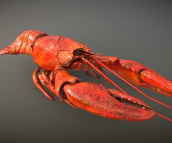 Modern Animal-ID:540572883