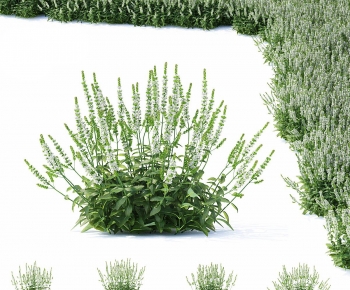 Modern Shrubbery-ID:363051894