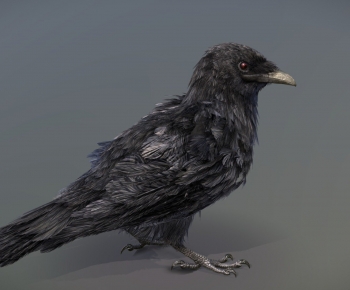 Modern Flying Animals-ID:808968072