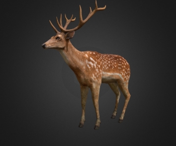 Modern Mammal-ID:264027127