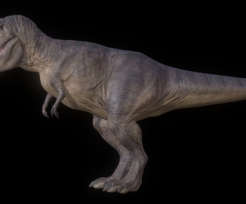 Modern Animal-ID:151943921