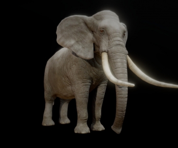 Modern Mammal-ID:170953043