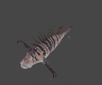 Modern Animal-ID:442608127