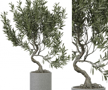 Modern Ground Green Plant Potted Plants-ID:877681024