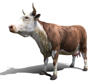 Modern Animal-ID:474510912