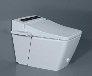 Modern Toilet-ID:233259923