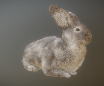 Modern Mammal-ID:349850895