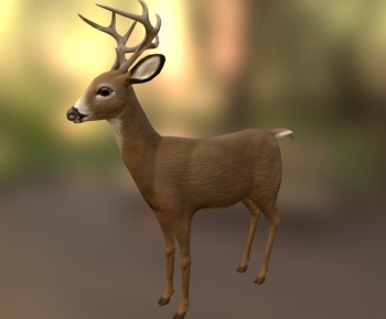 Modern Mammal-ID:127038006