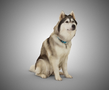 Modern Animal-ID:277858028