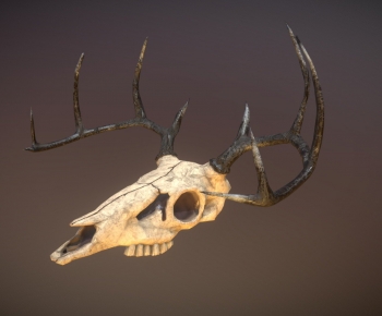 Modern Animal-ID:527421007