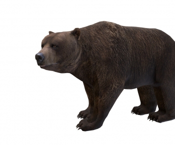 Modern Animal-ID:653629377