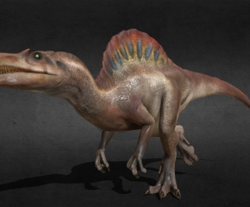 Modern Animal-ID:381452088