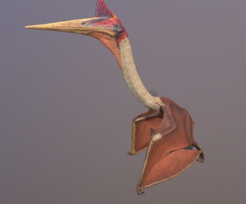 Modern Animal-ID:871948962