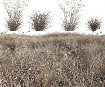 Modern The Grass-ID:984868057