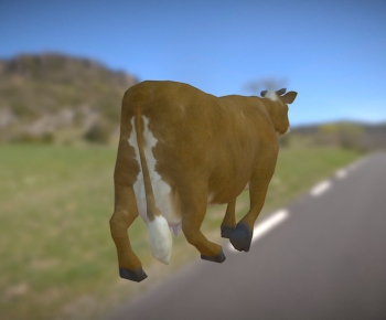 Modern Animal-ID:716758977