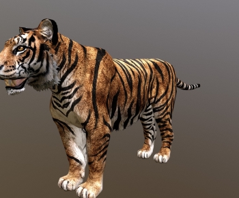 Modern Animal-ID:913702961