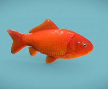 Modern Animal-ID:762682916