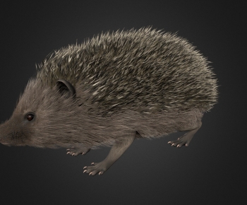 Modern Reptile-ID:466351034