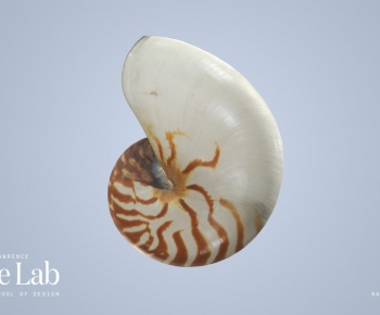 Modern Animal-ID:174001935