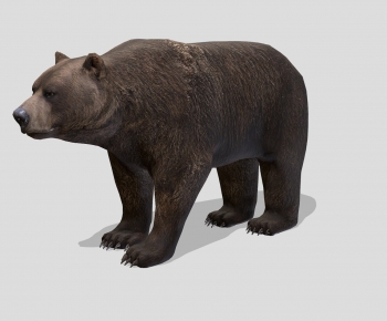 Modern Animal-ID:282950498