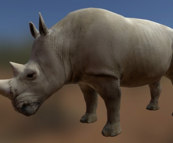 Modern Mammal-ID:511621004