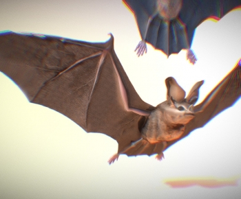 Modern Animal-ID:418457032