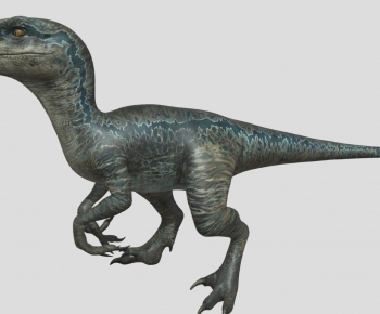 Modern Other Animals-ID:188807969