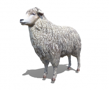 Modern Animal-ID:738667017