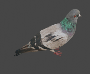 Modern Animal-ID:876461986