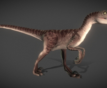 Modern Animal-ID:326630127