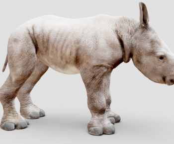 Modern Animal-ID:564299112