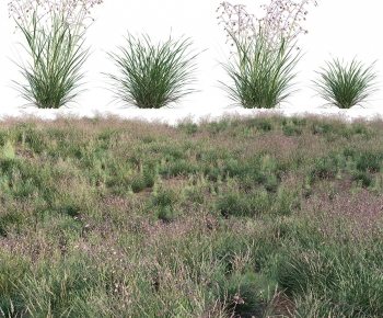 Modern The Grass-ID:914899116