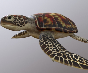 Modern Animal-ID:450067043