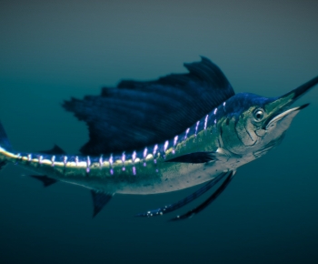 Modern Aquatic Animals-ID:485780958