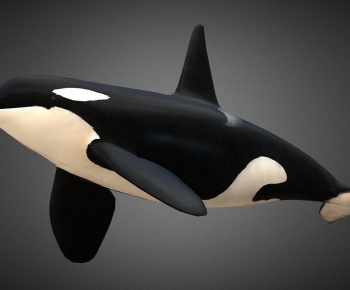 Modern Animal-ID:920229083